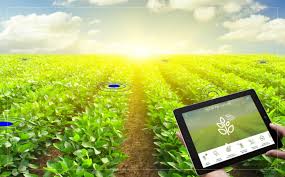 Remote Assistance