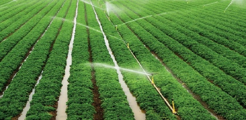 Irrigation